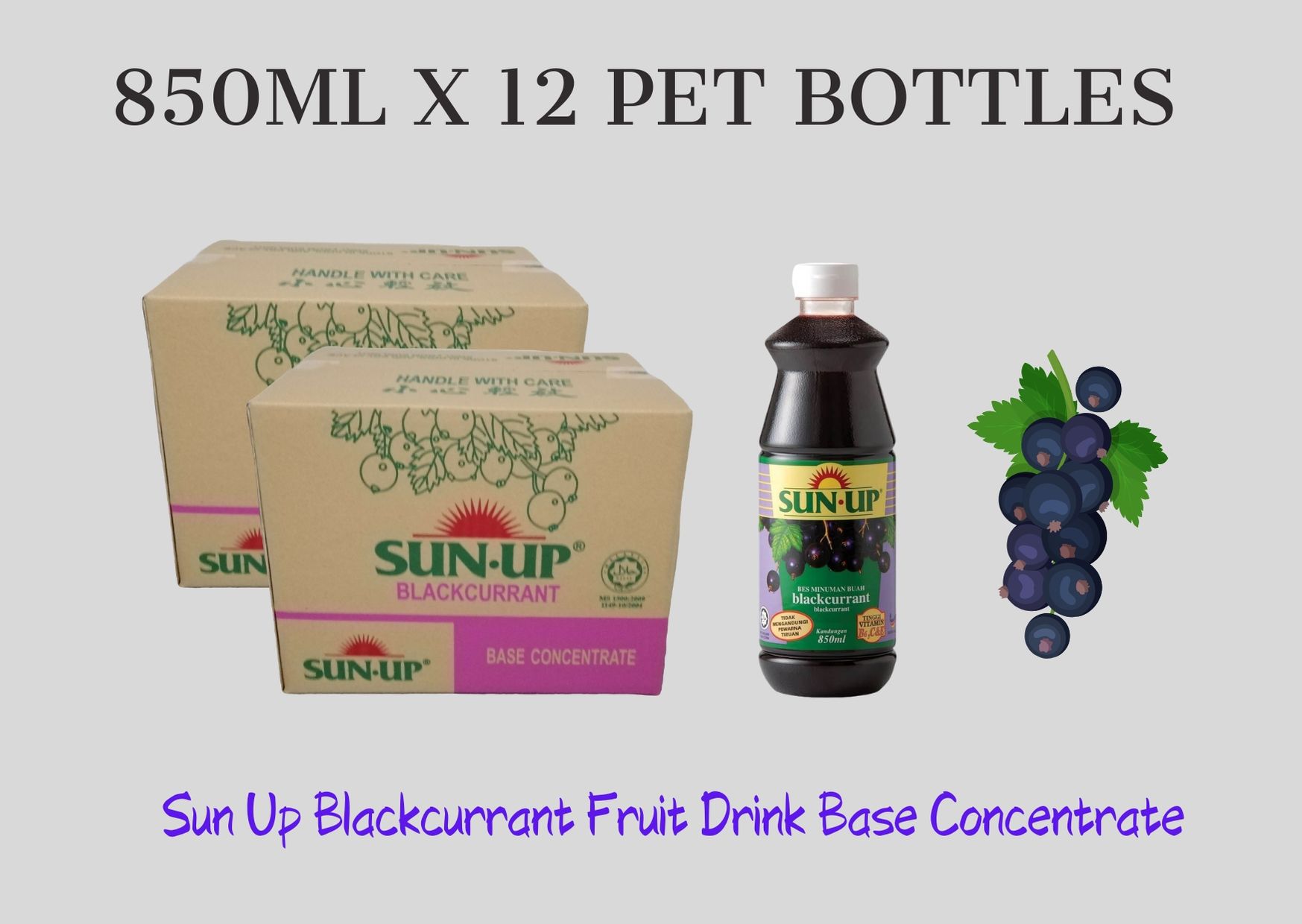 12Bottles Sun Up Blackcurrant Fruit Juice Base concentrate